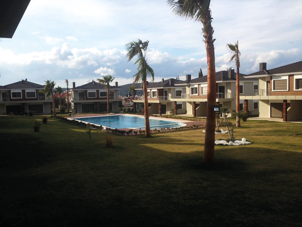Palm Şifne